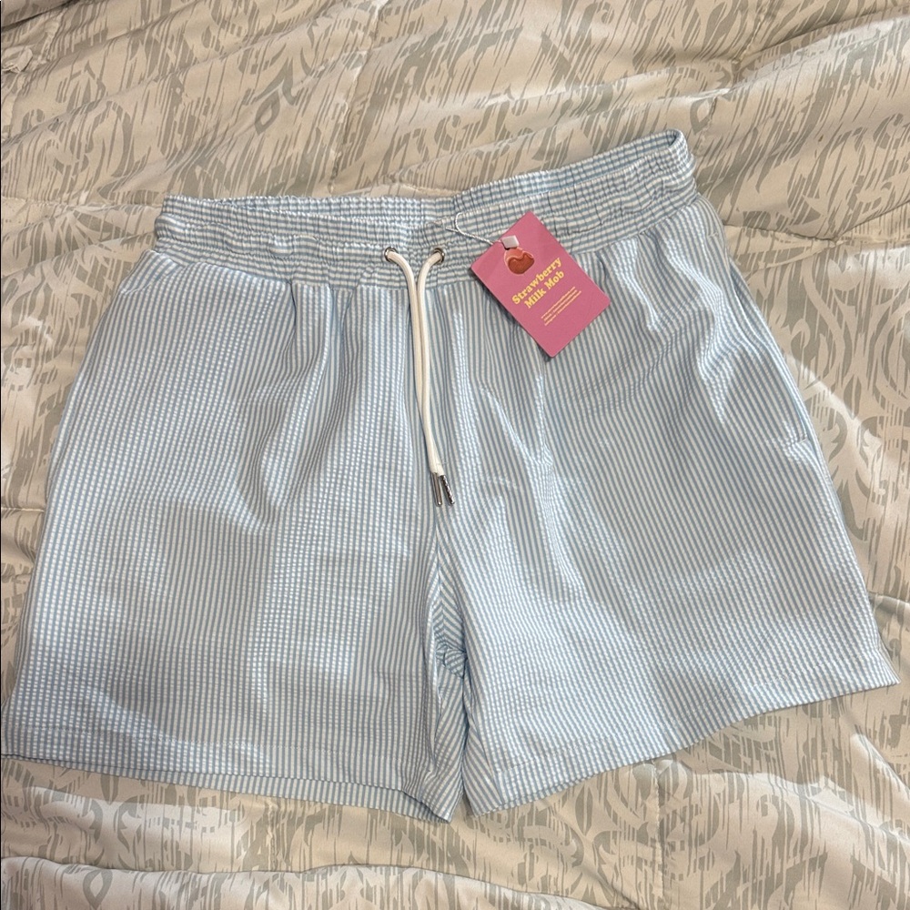 Blue Striped Mens Bathing Suit